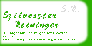 szilveszter meininger business card